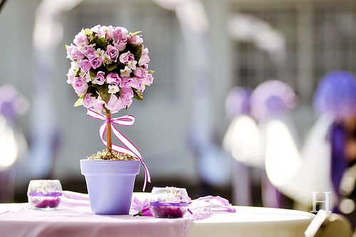 ��ʱ����ƽ��������������ȥ (3)