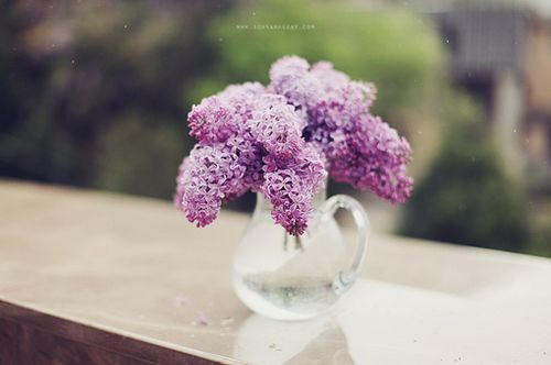 ��ʱ����ƽ��������������ȥ (9)