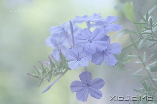 愿你住在我的心里,也在我的生活里