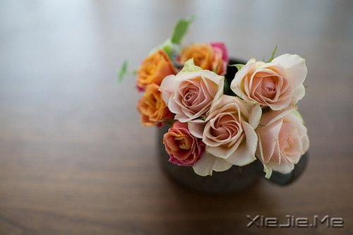 写人仅两笔,做人需一生 (3)